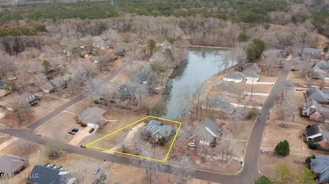 241 Pimlico Dr, Brandon, MS 39042 photo 61