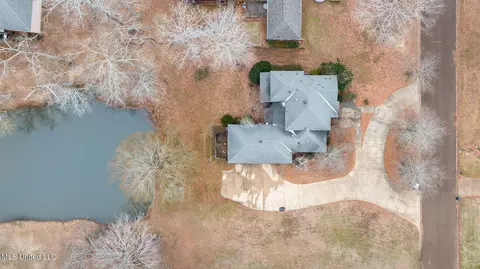 241 Pimlico Dr, Brandon, MS 39042 photo 59