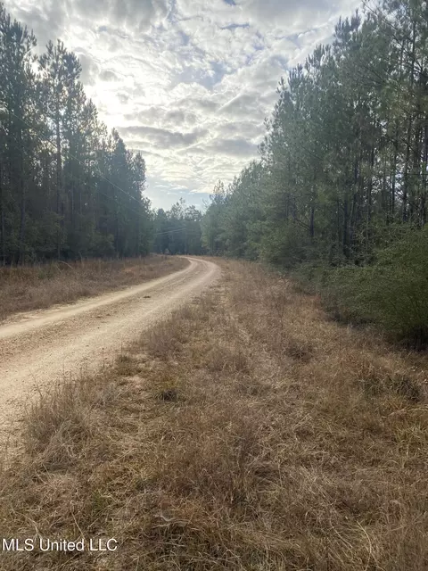 Blue Lake Road, Perkinston, MS 39573 photo 3