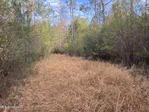 Blue Lake Road, Perkinston, MS 39573