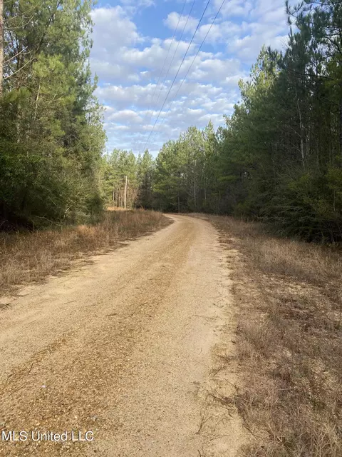 Blue Lake Road, Perkinston, MS 39573 photo 4