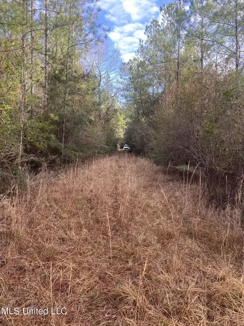Blue Lake Road, Perkinston, MS 39573 photo 2