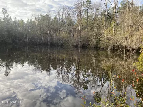 Blue Lake Road, Perkinston, MS 39573