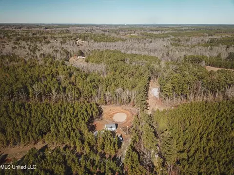 Rome Road, Kosciusko, MS 39090 photo 40