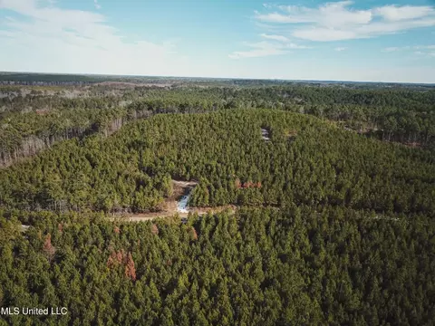Rome Road, Kosciusko, MS 39090 photo 31