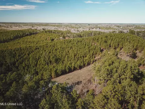 Rome Road, Kosciusko, MS 39090 photo 22