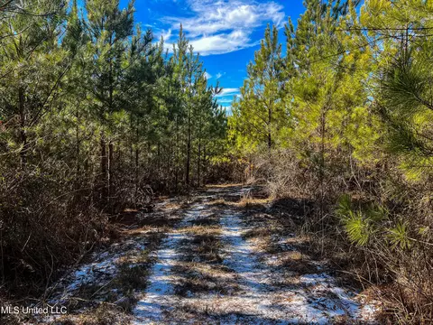 Rome Road, Kosciusko, MS 39090 photo 71