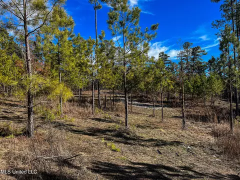 Rome Road, Kosciusko, MS 39090 photo 64