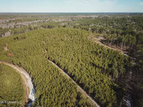 Rome Road, Kosciusko, MS 39090 photo 38