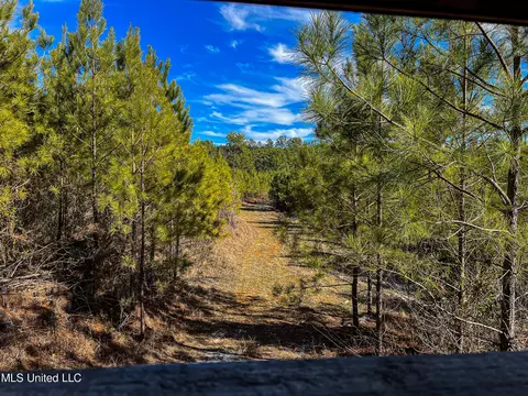 Rome Road, Kosciusko, MS 39090 photo 57