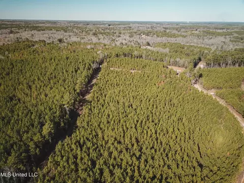 Rome Road, Kosciusko, MS 39090 photo 37