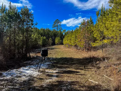 Rome Road, Kosciusko, MS 39090 photo 53