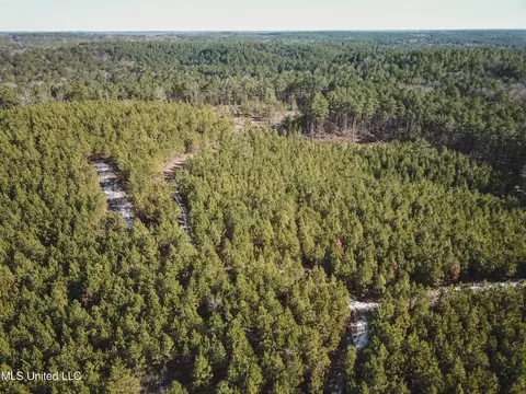 Rome Road, Kosciusko, MS 39090 photo 33