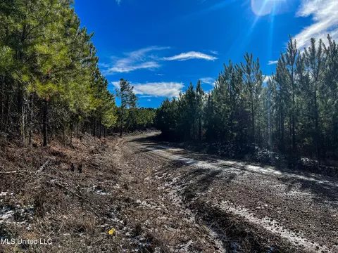 Rome Road, Kosciusko, MS 39090 photo 60