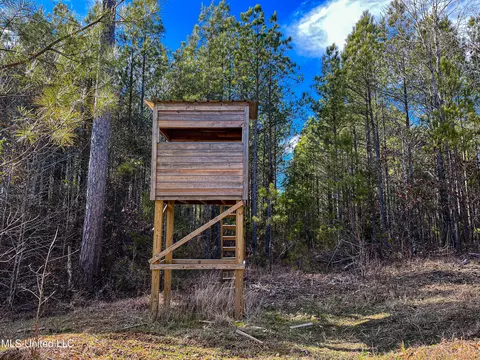 Rome Road, Kosciusko, MS 39090 photo 15