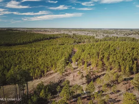 Rome Road, Kosciusko, MS 39090 photo 23