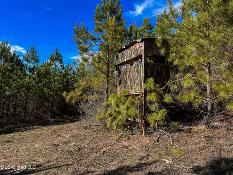 Rome Road, Kosciusko, MS 39090 photo 65