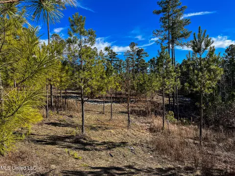 Rome Road, Kosciusko, MS 39090 photo 67