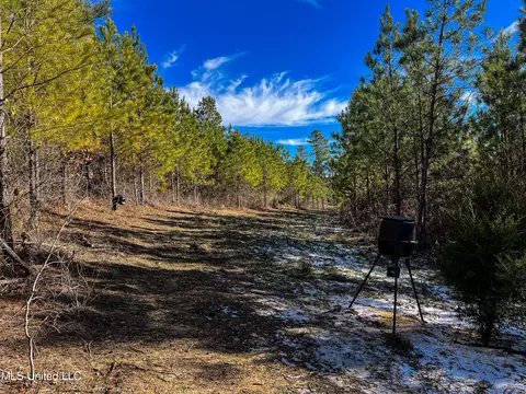 Rome Road, Kosciusko, MS 39090 photo 62