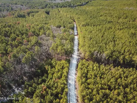 Rome Road, Kosciusko, MS 39090 photo 35