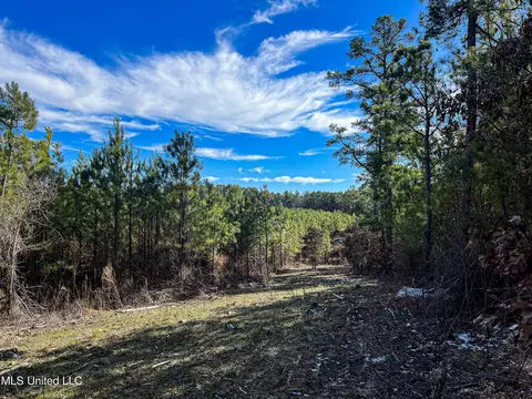 Rome Road, Kosciusko, MS 39090 photo 58