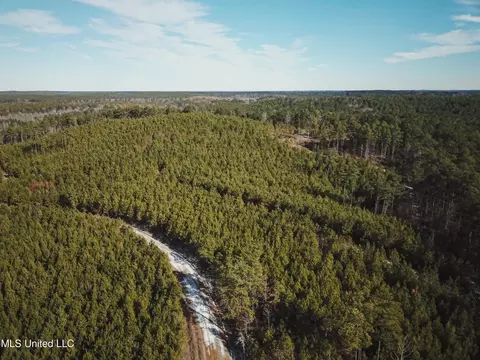 Rome Road, Kosciusko, MS 39090 photo 21