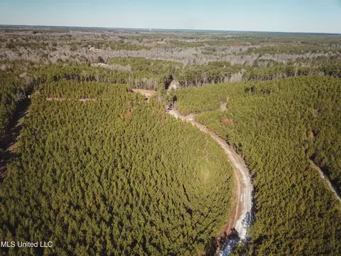 Rome Road, Kosciusko, MS 39090 photo 39