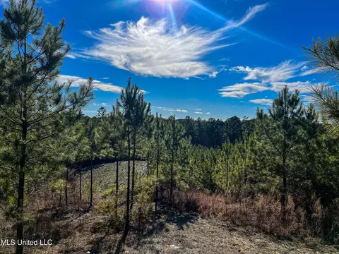 Rome Road, Kosciusko, MS 39090 photo 66