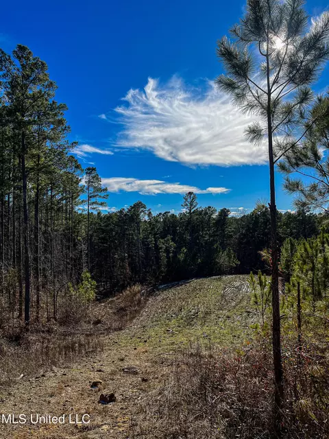 Rome Road, Kosciusko, MS 39090 photo 70