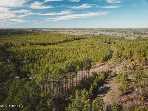 Rome Road, Kosciusko, MS 39090 photo 8