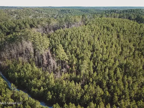 Rome Road, Kosciusko, MS 39090 photo 25