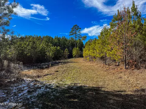 Rome Road, Kosciusko, MS 39090 photo 54