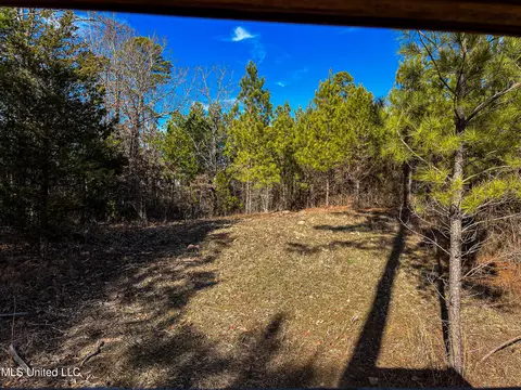 Rome Road, Kosciusko, MS 39090 photo 56