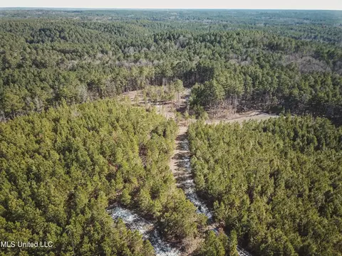 Rome Road, Kosciusko, MS 39090 photo 34