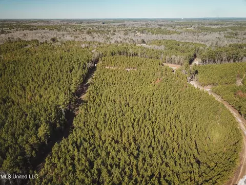 Rome Road, Kosciusko, MS 39090 photo 36