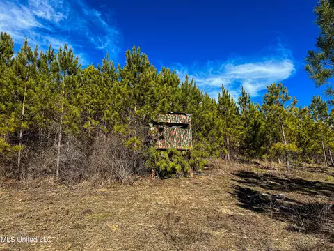 Rome Road, Kosciusko, MS 39090 photo 68