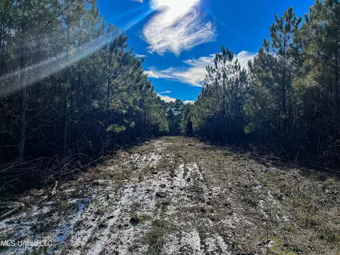 Rome Road, Kosciusko, MS 39090 photo 61