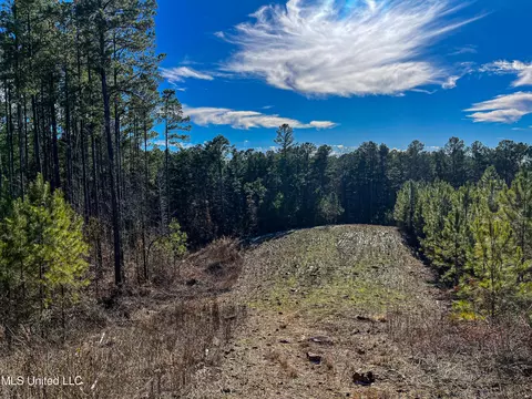 Rome Road, Kosciusko, MS 39090 photo 69