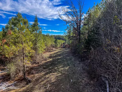 Rome Road, Kosciusko, MS 39090 photo 55