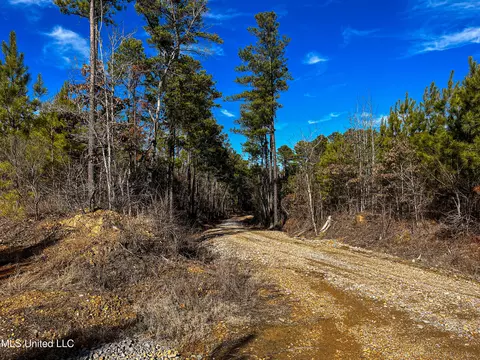 Rome Road, Kosciusko, MS 39090 photo 59
