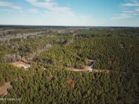 Rome Road, Kosciusko, MS 39090 photo 32