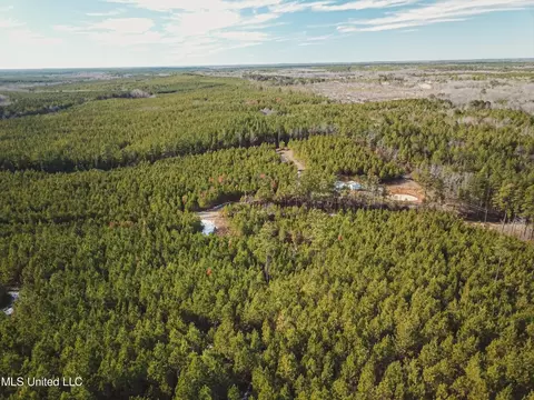 Rome Road, Kosciusko, MS 39090 photo 6