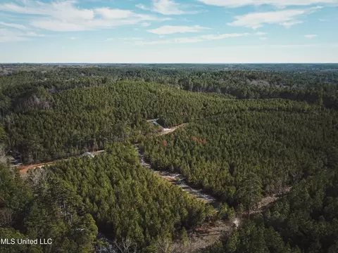 Rome Road, Kosciusko, MS 39090 photo 30