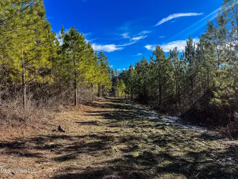 Rome Road, Kosciusko, MS 39090 photo 63