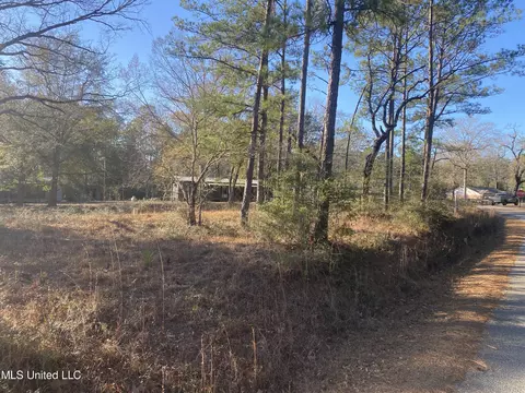 1200 15, Perkinston, MS 39573 photo 6