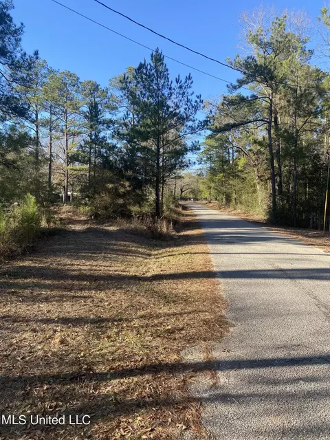 1200 15, Perkinston, MS 39573 photo 4