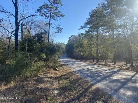 1200 15, Perkinston, MS 39573 photo 10