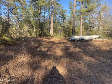 1200 15, Perkinston, MS 39573 photo 8