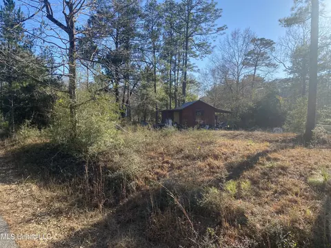 1200 15, Perkinston, MS 39573 photo 5
