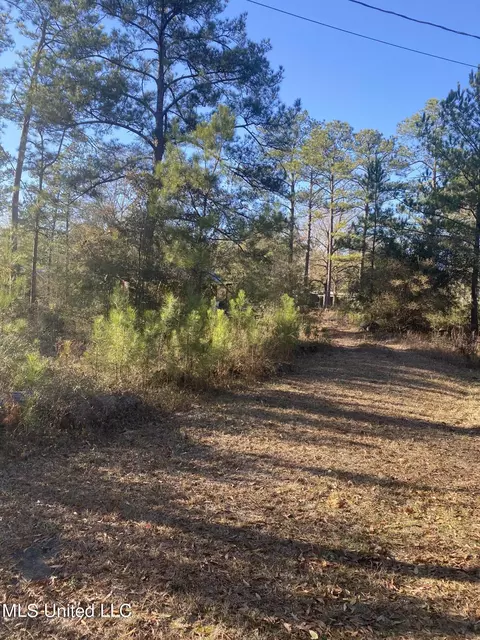 1200 15, Perkinston, MS 39573 photo 3
